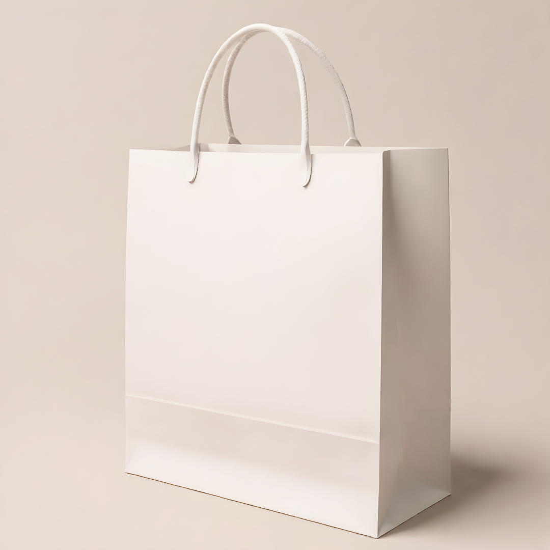 Boxish White Paper Bag (6L x 3W x 12H inches)