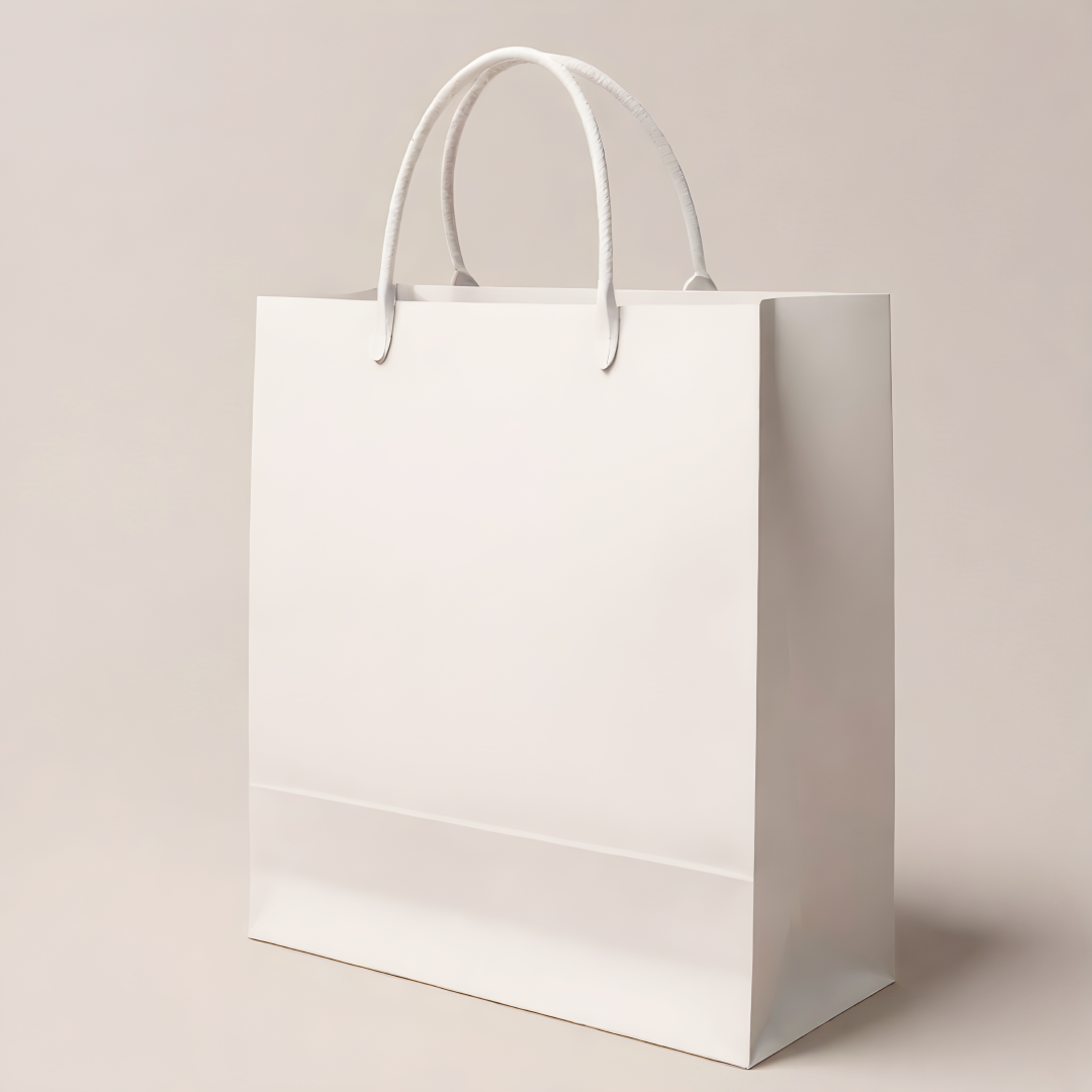 Boxish White Paper Bag (9L x 3W x 12H inches)