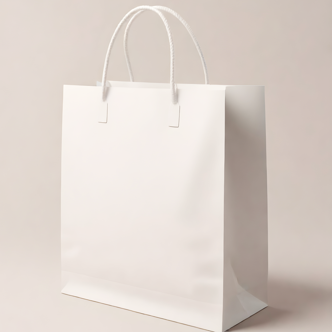Boxish White Paper Bag (12L x 3W x 9H inches)
