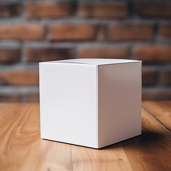Boxish 3 Ply White Corrugated Box (10L x 10W x 10H inches)