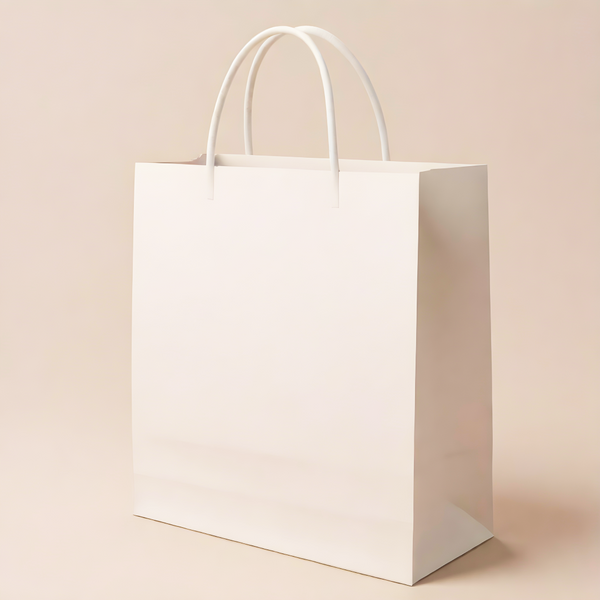 Boxish White Paper Bag (8L x 2.5W x 6H inches)