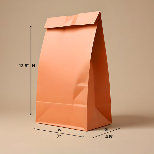 Boxish Reddish Brown SOS Bag  (7W x 4.5G x 13.5H inches)