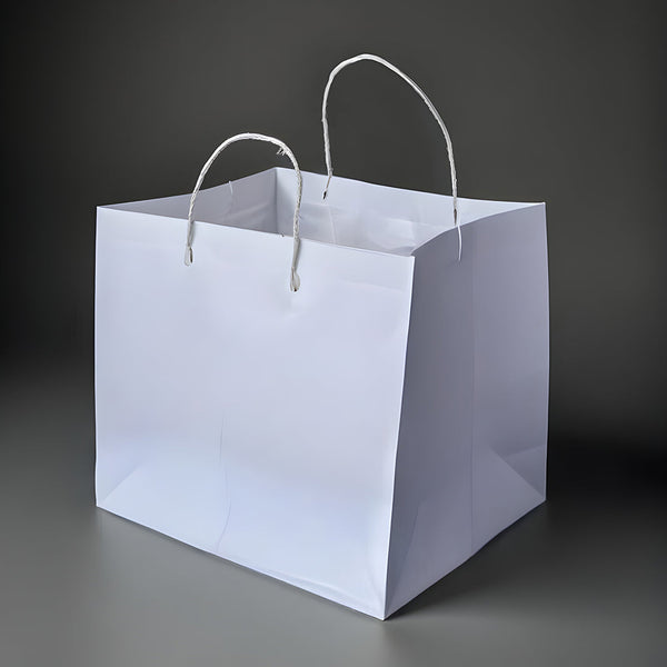 Boxish White Cake Bag  (12.5W x 8.5G x 10.5H inches)