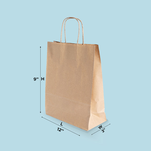 Boxish Brown Paper Bag (12L x 3W x 9H inches)